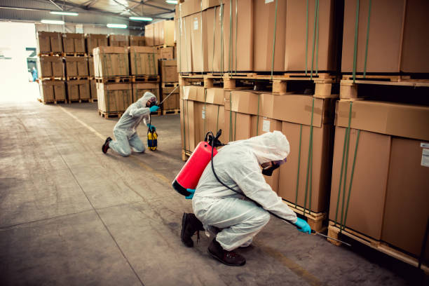 Best Flea Control Services  in Ridgecrest, FL