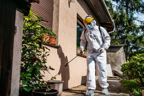Wildlife Control Services in Ridgecrest, FL