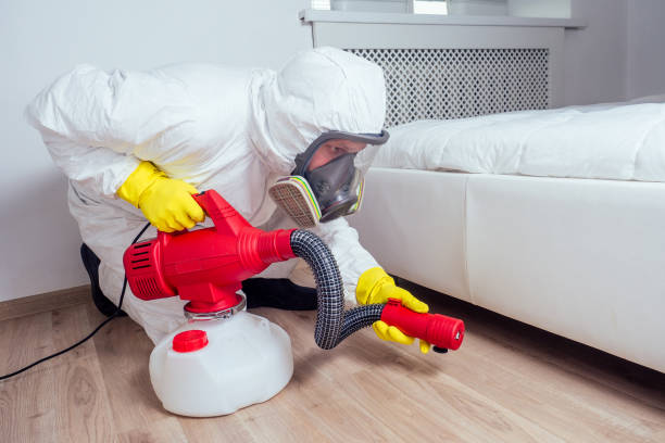 Best Affordable Pest Control Services  in Ridgecrest, FL