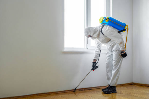 Best Bed Bug Extermination  in Ridgecrest, FL