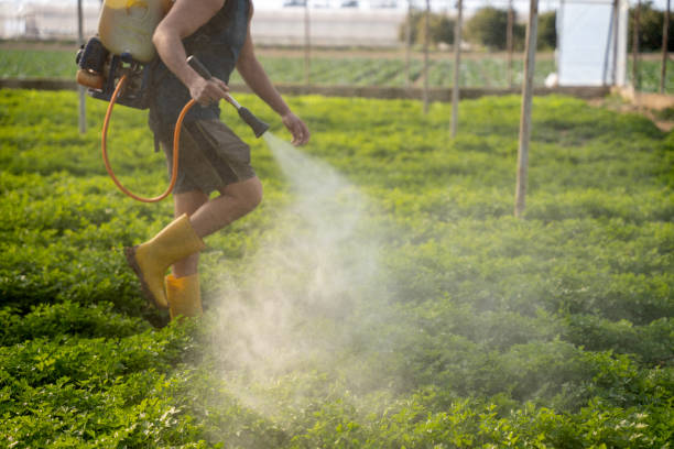 Best Exterminator Services  in Ridgecrest, FL