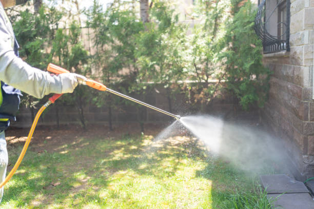 Best Mosquito Control Services  in Ridgecrest, FL