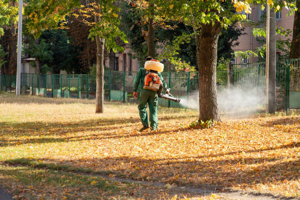 Best Best Pest Control Companies  in Ridgecrest, FL