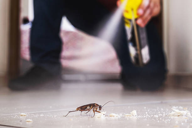 Best Pest Control for Businesses  in Ridgecrest, FL
