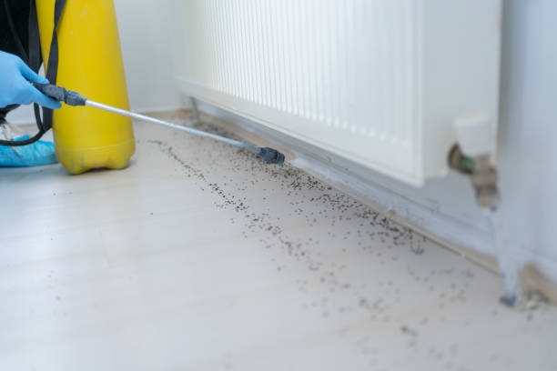 Best Residential Pest Control  in Ridgecrest, FL
