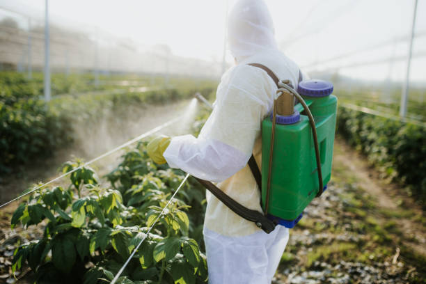 Best Affordable Exterminators  in Ridgecrest, FL